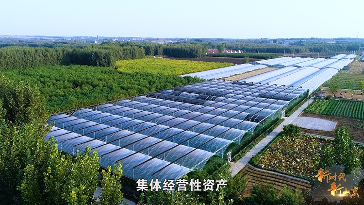 打造乡村振兴齐鲁样板 让农村成为安居乐业的美丽家园