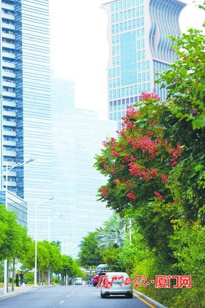 厦门思明区：先行先试聚势谋远 全面绽放吸金魅力