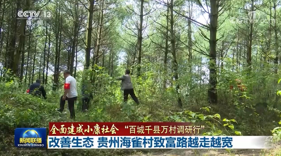 【全面建成小康社会“百城千县万村调研行”】改善生态 贵州海雀村致富路越走越宽