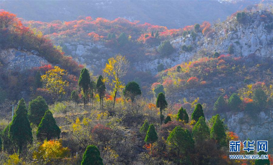 【城市远洋】河南焦作：太行美景入画来