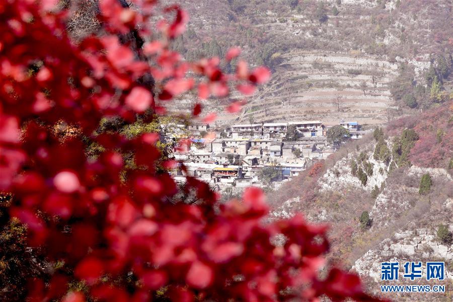 【城市远洋】河南焦作：太行美景入画来