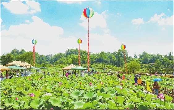 心泊牡丹故里 梦栖云畔垫江