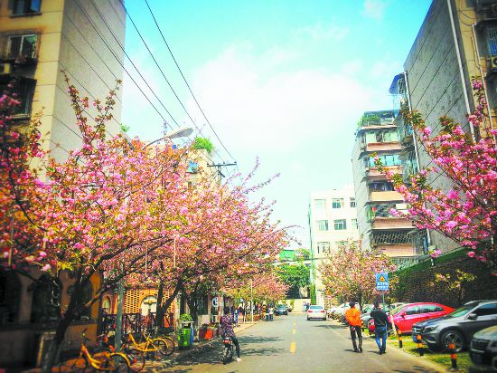 （转载）展示成都生活美学 一环路正华丽“变身”