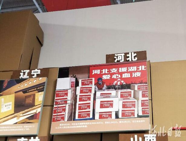 河北支援湖北医疗队队员重回武汉参观抗疫专题展