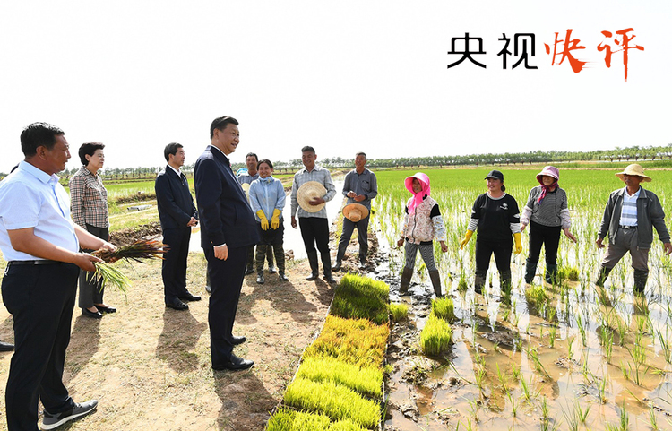 【央视快评】保持攻坚态势，不获全胜决不收兵