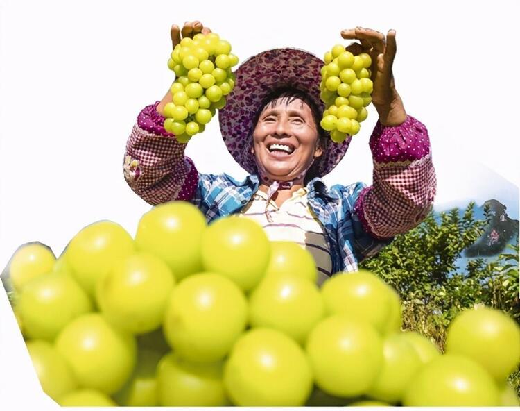 用最好的资源 派最强的力量 攻克最硬的堡垒 5年减贫近40万人的南宁实践