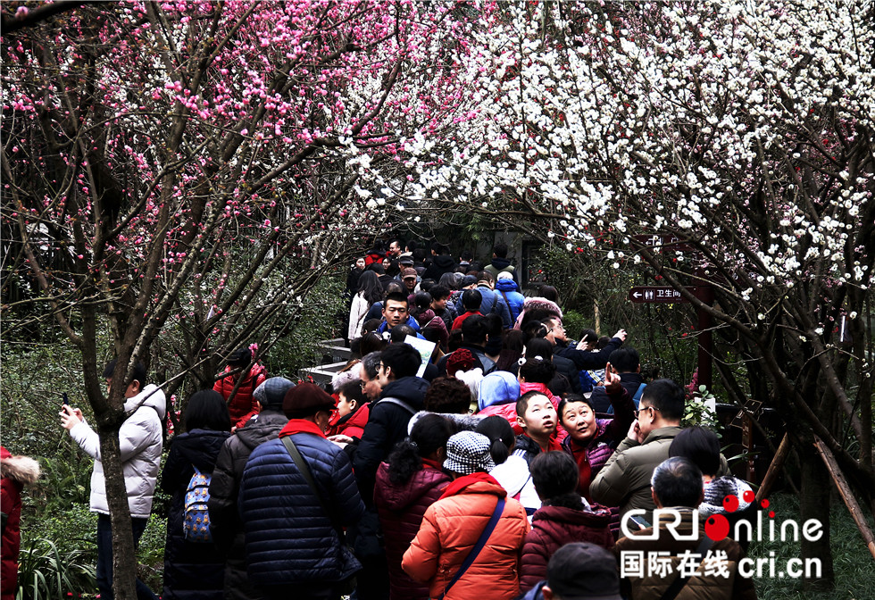 图片默认标题_fororder_《花重锦官城》每年正月初七是成都杜甫草堂人日游活动，恰逢春节期间，又春花初开，引来人山人海。