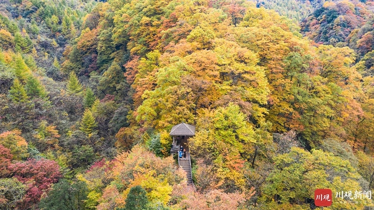 （转载）绝美！巴中光雾山红叶红了