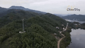 外国人眼中的小康｜沙赫布兹大别山“探路”记