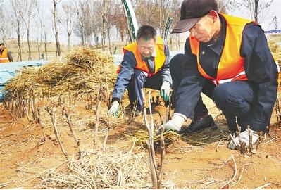 图片默认标题_fororder_微信图片_20190320112119