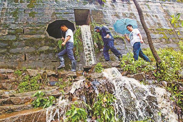 【能源环保 列表】1500亩中山杉仍蔚然成林 守护长江45公里江岸