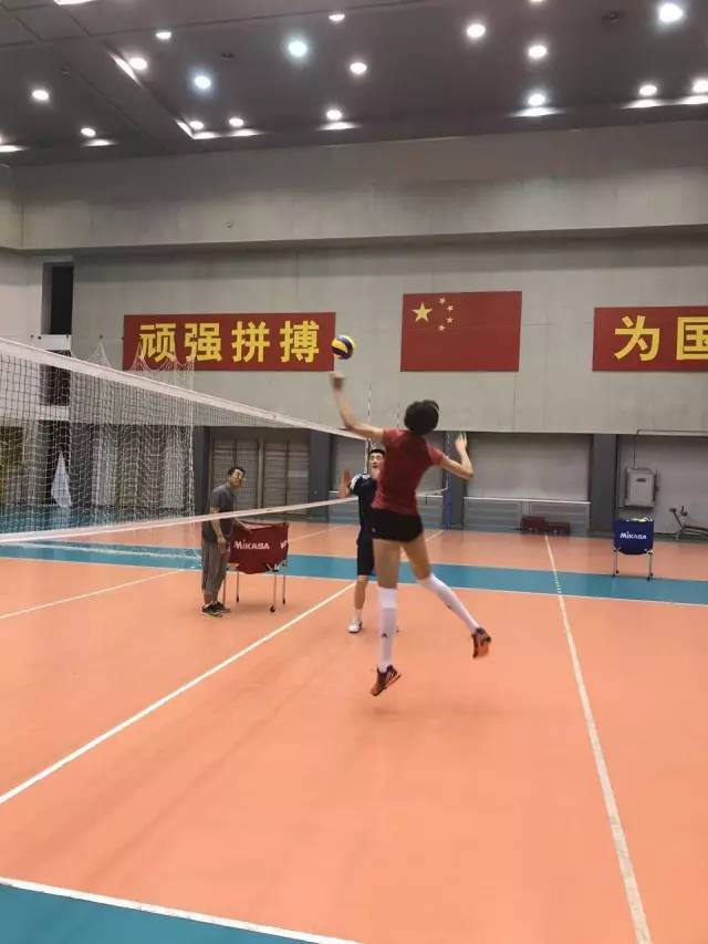 朱婷袁心玥集训备战大冠军杯 安家杰训练兼多职