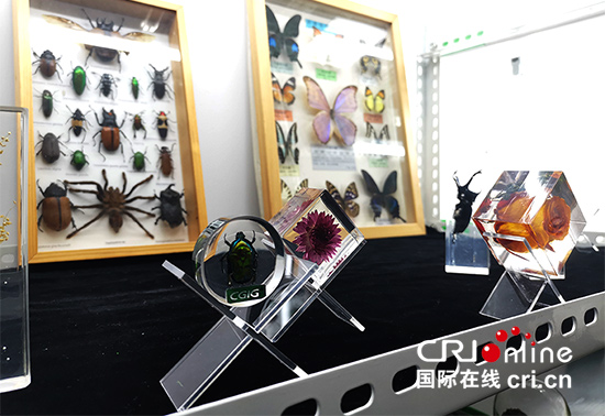【A】【吉03】长春市双阳区：乡村振兴“风景这边独好”_fororder_jlld2010220303