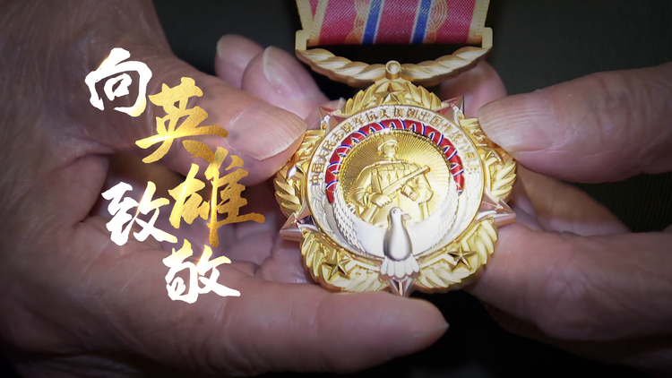 时政现场说丨我和大英雄同框——向抗美援朝的英雄致敬！