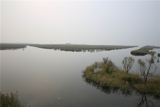 东平县：逐梦沃野绘新景