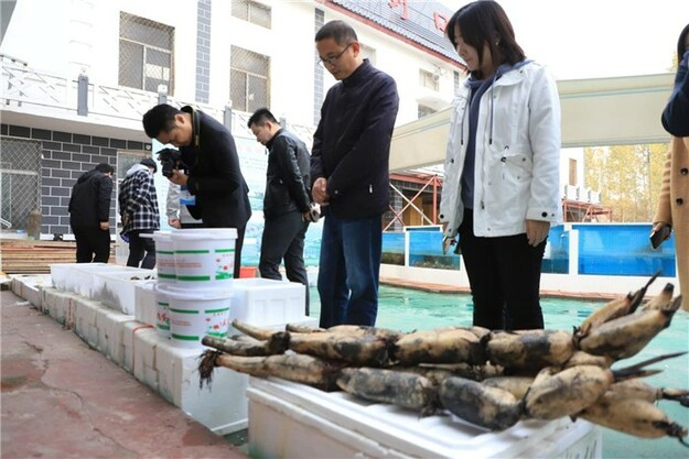 东平县新湖镇：乡村记忆进展馆 龙虾产业助脱贫