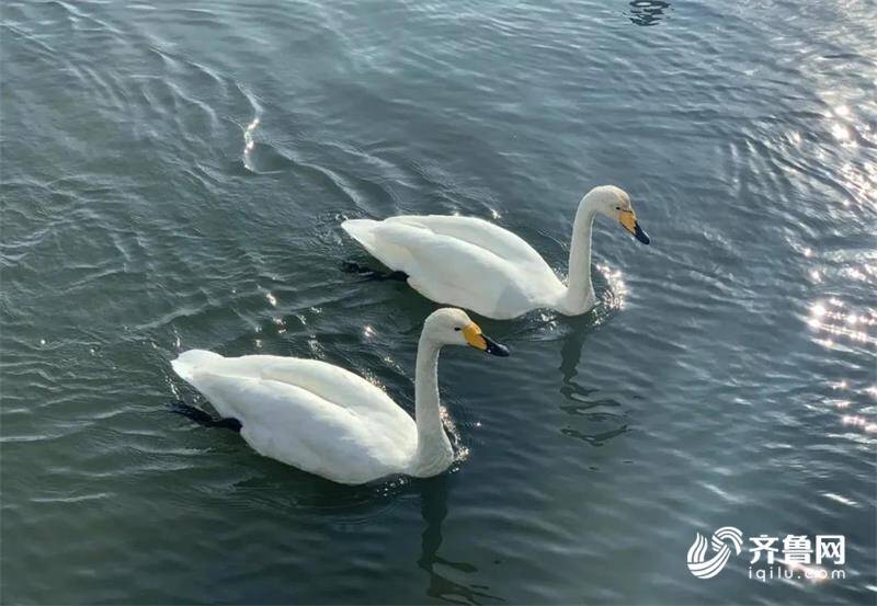 组图｜威海荣成魅力那香海，最美打卡地