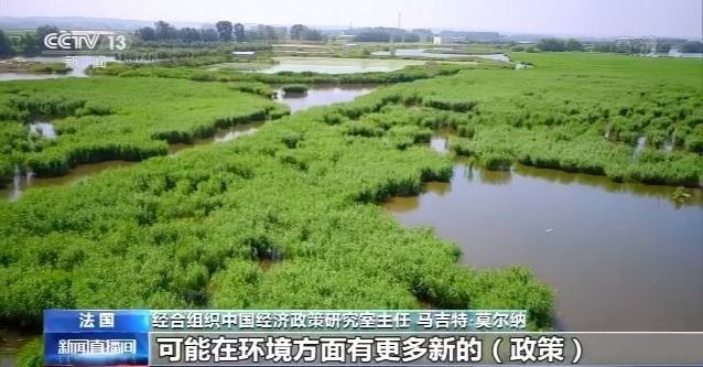 国际视野下的“十三五”规划丨经合组织：五年来中国经济发展超出预期