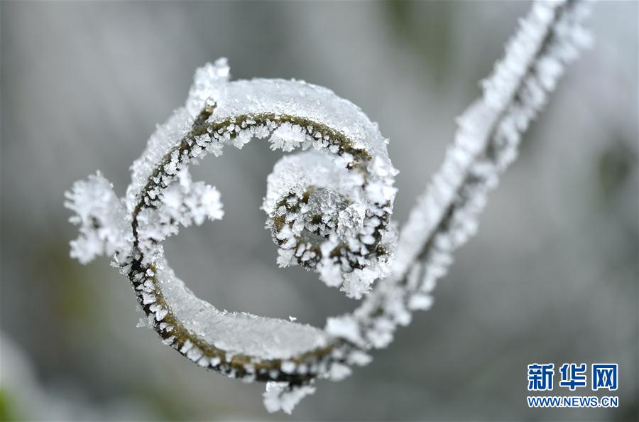 微观冰雪入画来