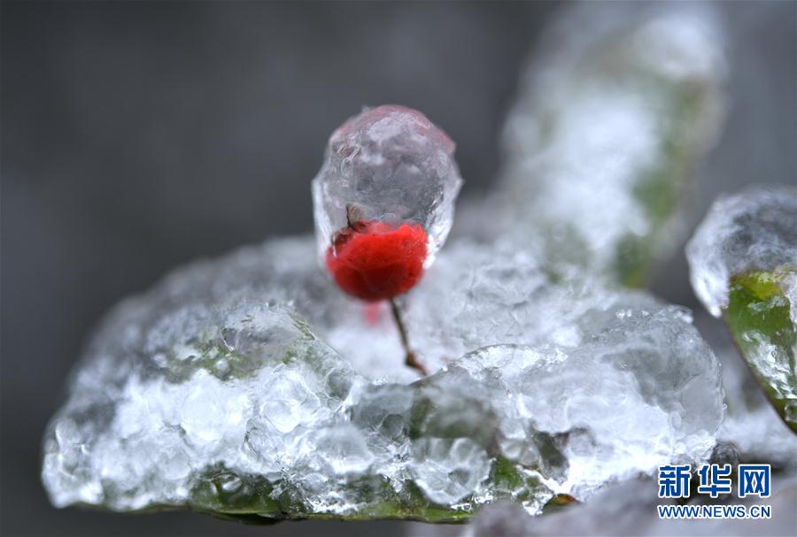 微观冰雪入画来