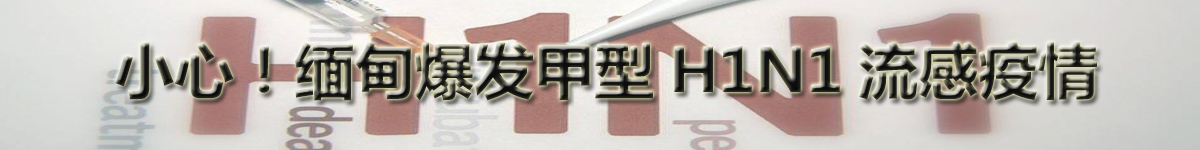 【直播天下】小心！缅甸爆发甲型H1N1流感疫情_fororder_未标题-拷贝