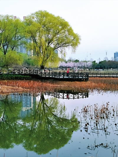 【中原名景-图片】鹰城春意浓