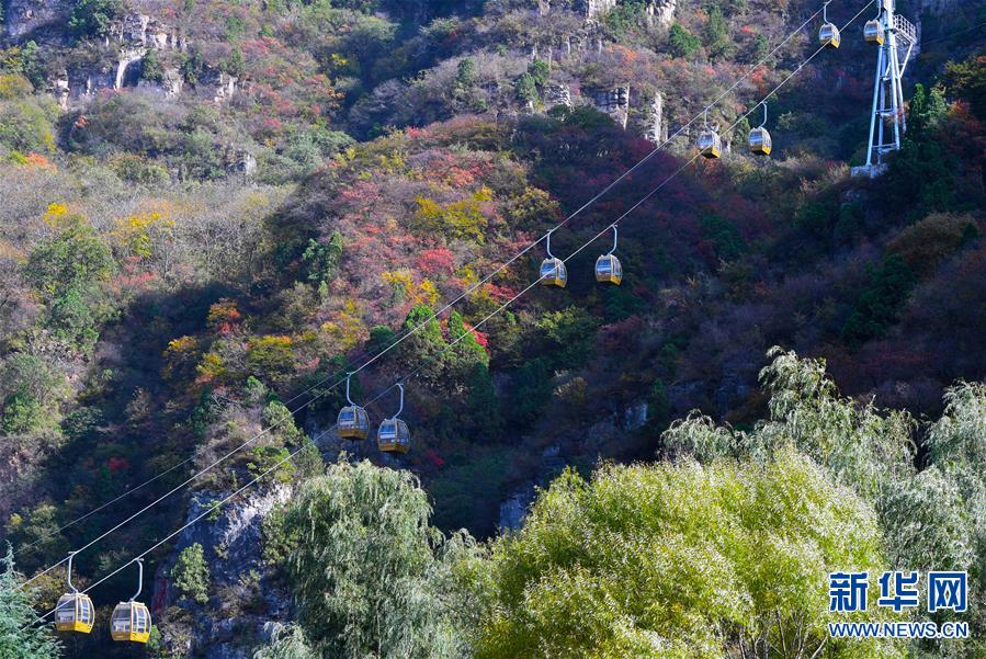 【城市远洋】河南焦作：太行美景入画来
