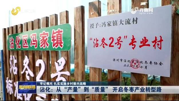 从“产量”到“质量” 滨州沾化开启冬枣产业转型之路