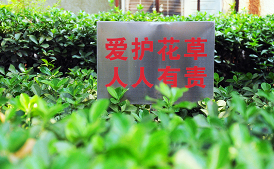 图片默认标题
