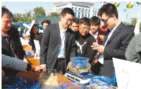 盘锦擦亮“品牌农业”名片兴乡富民