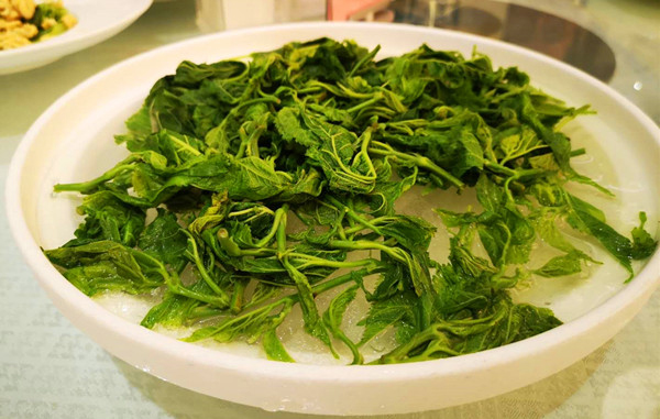 资阳：节气菜品鉴 享受视觉与味觉的“盛宴”_fororder_1、资阳特色桑叶美食-摄影-李平