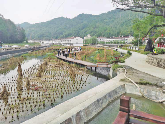 唤醒沉睡的大山——中国建设银行支持安康定点帮扶工作纪实_fororder_唤醒沉睡的大山——中国建设银行支持安康定点帮扶工作纪实108