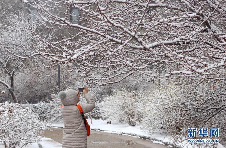 一场春雪让盛京银装素裹