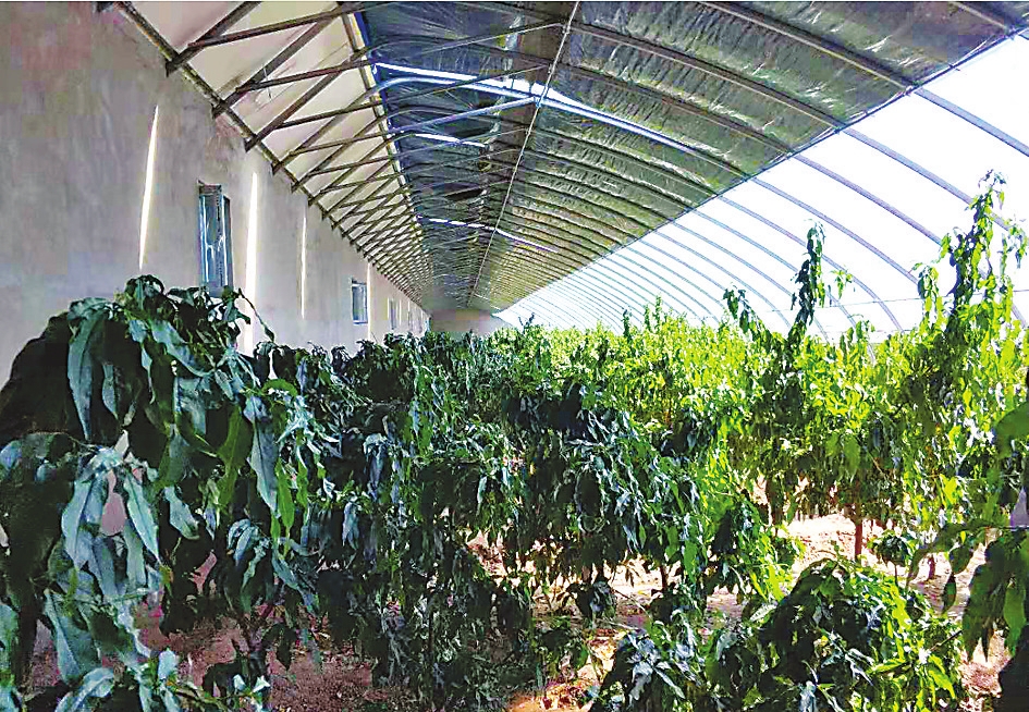 山好水美 更上层楼——我省休闲农业提档升级走笔