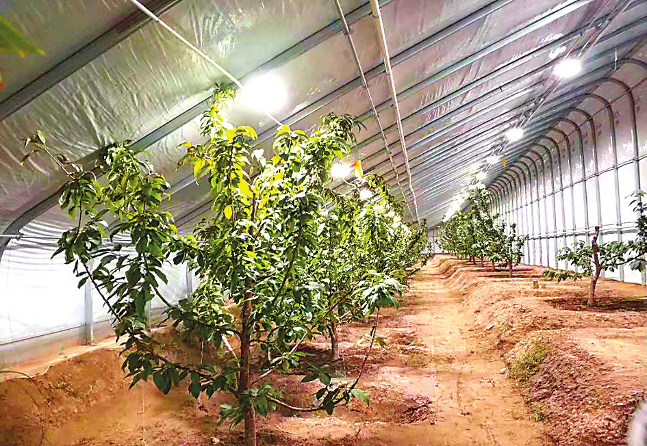 山好水美 更上层楼——我省休闲农业提档升级走笔