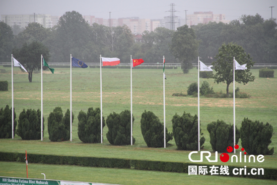 图片默认标题_fororder_赛马场上飘扬的五星红旗 拷贝