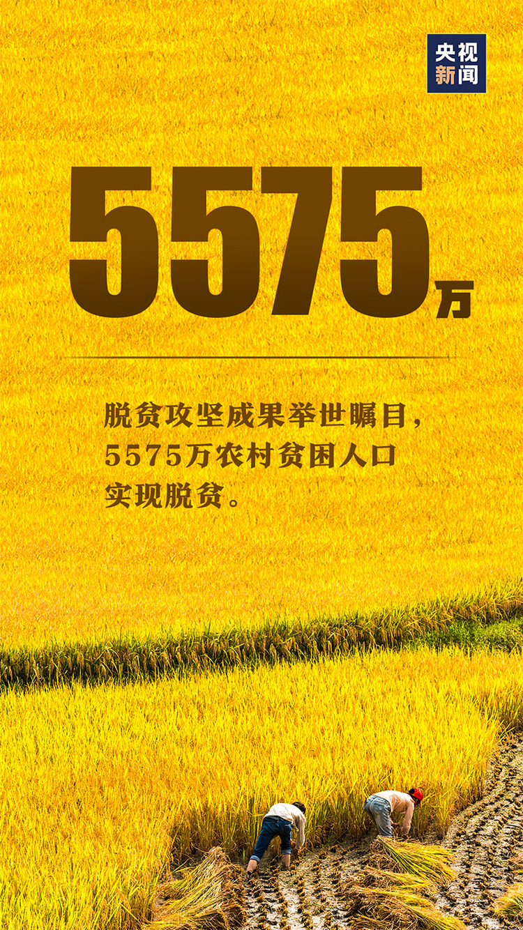 这份“成绩单”，真提气！