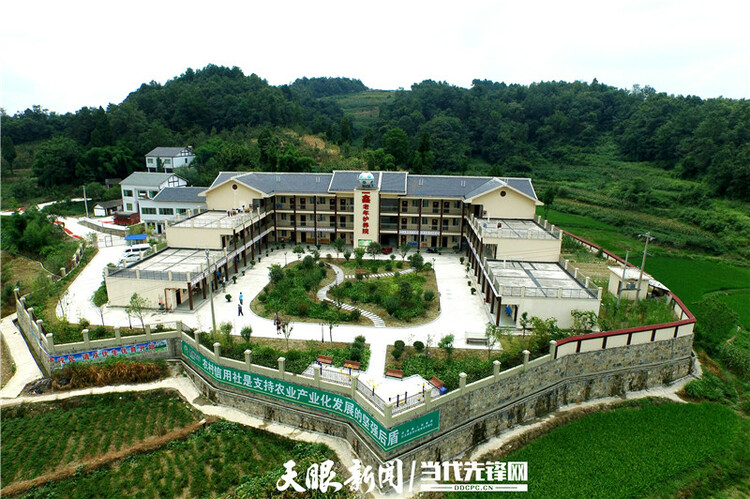 “老有所养”如何养？一文给你详细解答 | 在线访谈·第224期