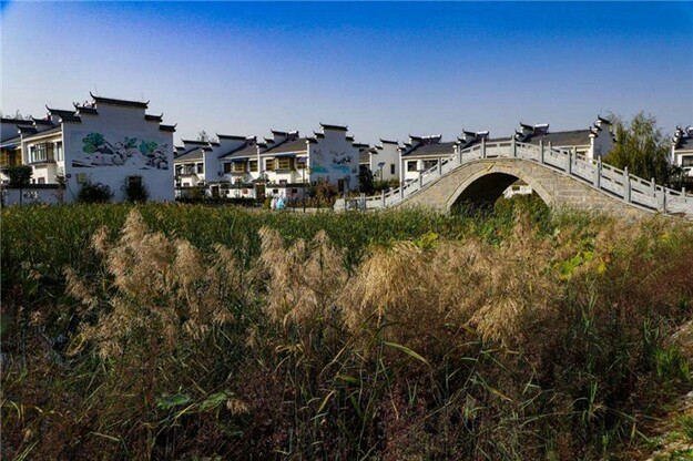东平县：逐梦沃野绘新景