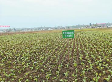 四川：复耕撂荒地 科技下田间 打好小春生产这一仗