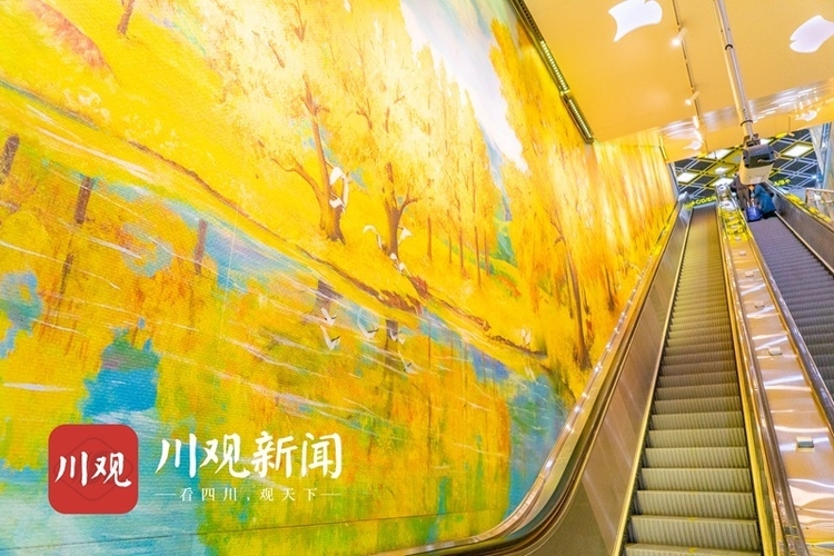 “黄叶”纷飞 在地铁站邂逅绝美“银杏林”