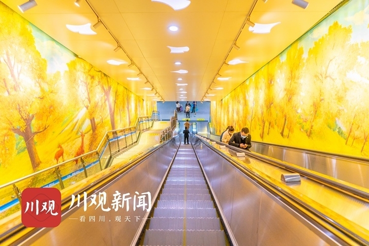 “黄叶”纷飞 在地铁站邂逅绝美“银杏林”