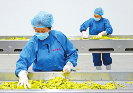 三晋汇聚转型力量