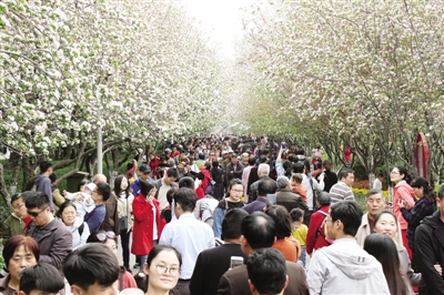 【中原名景-图片】周末两天12万人逛碧沙岗