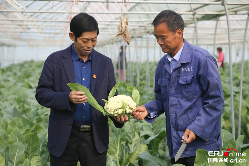 【河南人的一天·第21期】探访开封杞县“三不要”书记杜振远的一日之计和扶贫大计
