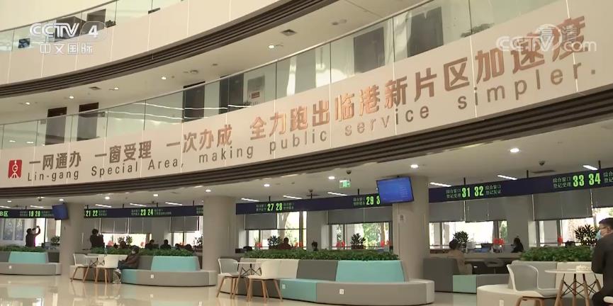 新时代 看浦东 | 前三季度自贸区保税区域经营总收入达到16210亿元