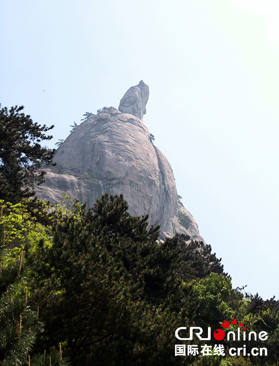 湖北麻城龟峰山杜鹃开