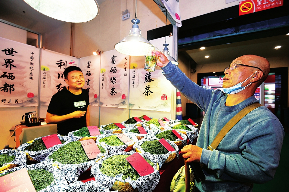 茶香飘龙城
