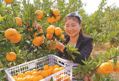 问渠哪得清如许 为有源头碧水来 ——南水北调中线工程水源区生态保护调查