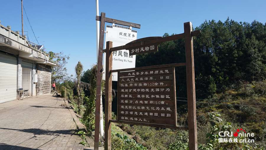 【共舞长江经济带•看高质量发展】重庆万州凤凰山农旅融合 走出“高颜值”致富路
